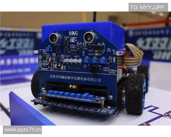 深入分析IG战队的盯防战术及其在比赛中的应用与效果